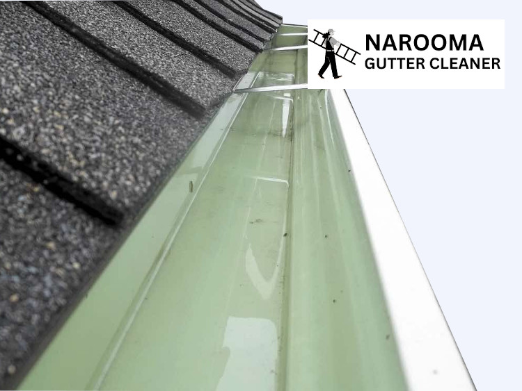 
The captured photo displays a Narooma gutter that is entirely debris-free.