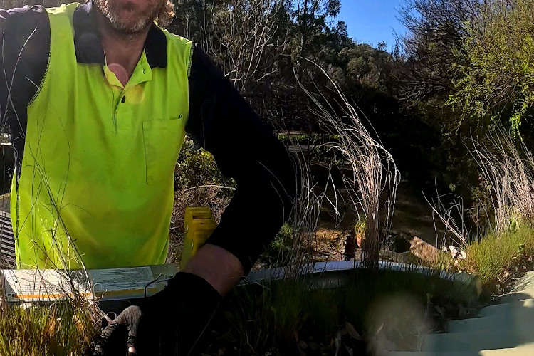 
Guttering turned garden in narooma, cleaner stands at the ready.
