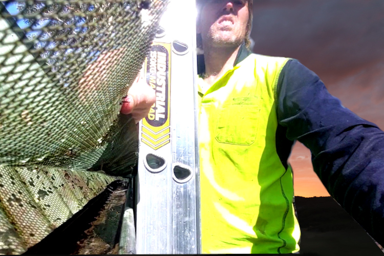 
Gutter Guard Success: narooma Local Gutter Cleaner`s Cleaned Work