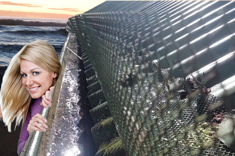 
narooma Woman Observes Effectiveness of Gutter Guards on Cleaned Gutter