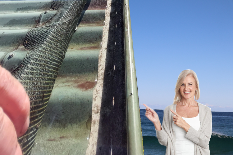 
Gutter Guard Transformation: narooma Woman`s Delight in Results